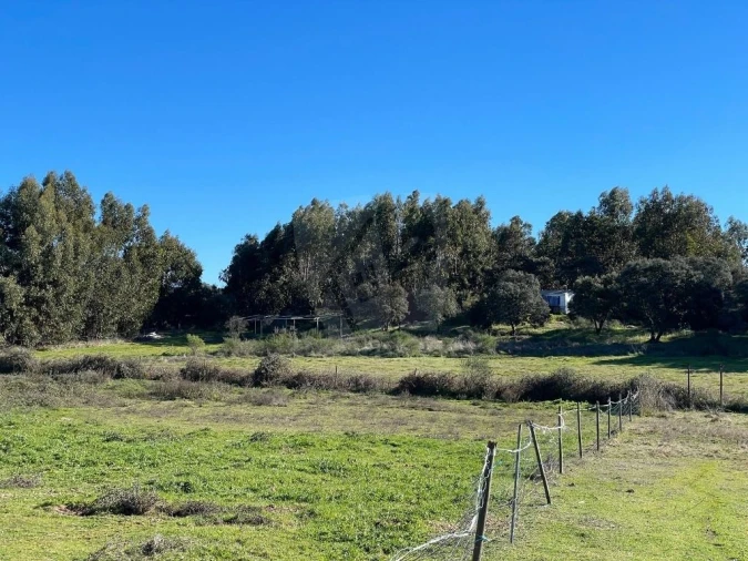 Quinta T1 para Venda em Castelo Branco Foto 62