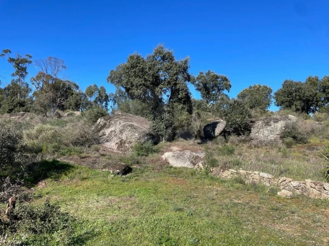 Quinta T1 para Venda em Castelo Branco Foto 19