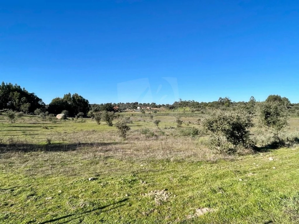 Quinta T1 para Venda em Castelo Branco Foto 40