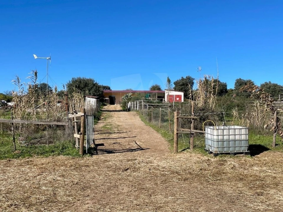Quinta T1 para Venda em Castelo Branco Foto 43
