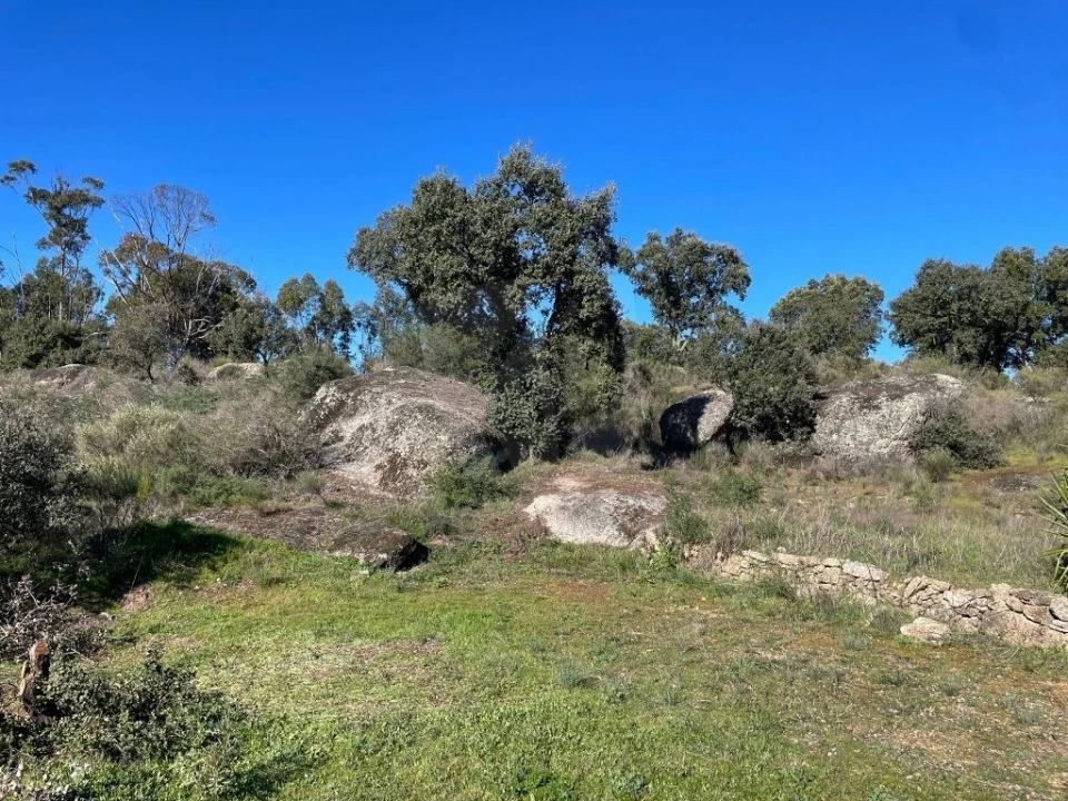 Quinta T1 para Venda em Castelo Branco Foto 19