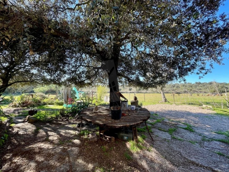 Quinta T1 para Venda em Castelo Branco Foto 25