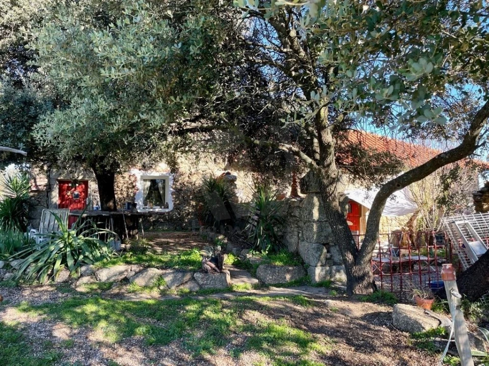 Quinta T1 para Venda em Castelo Branco Foto 3