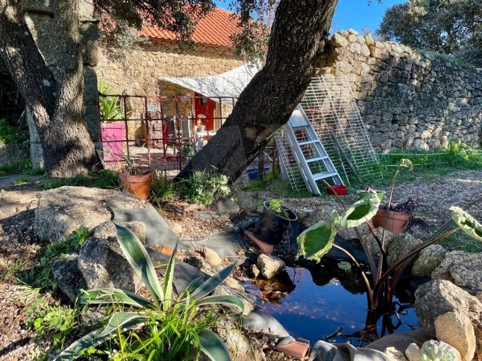 Quinta T1 para Venda em Castelo Branco Foto 26