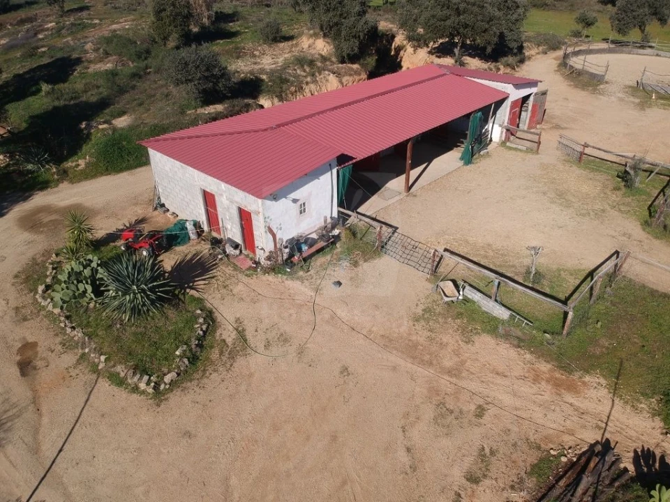 Quinta T1 para Venda em Castelo Branco Foto 27