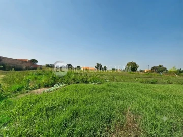Terreno para Venda em Eixo e Eirol