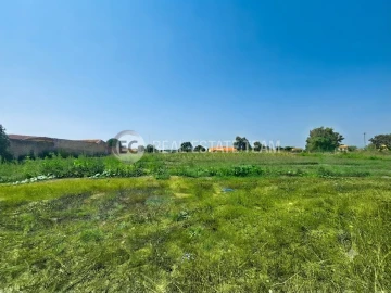 Terreno para Venda em Eixo e Eirol