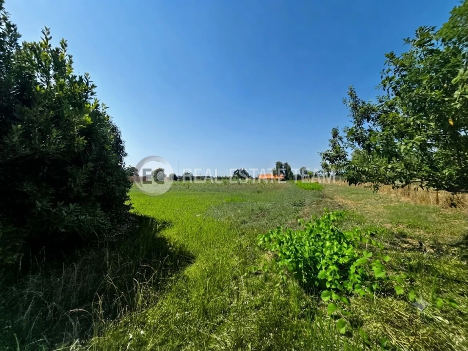 Terreno para Venda em Eixo e Eirol Foto 11