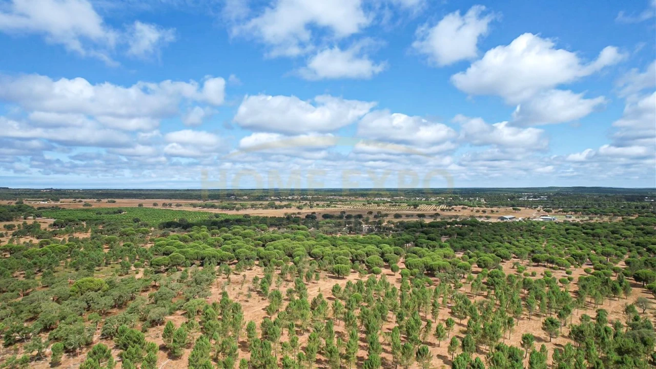 Terreno para Venda em Grândola e Santa Margarida da Serra Foto 15