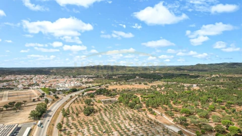 Terreno para Venda em Grândola e Santa Margarida da Serra