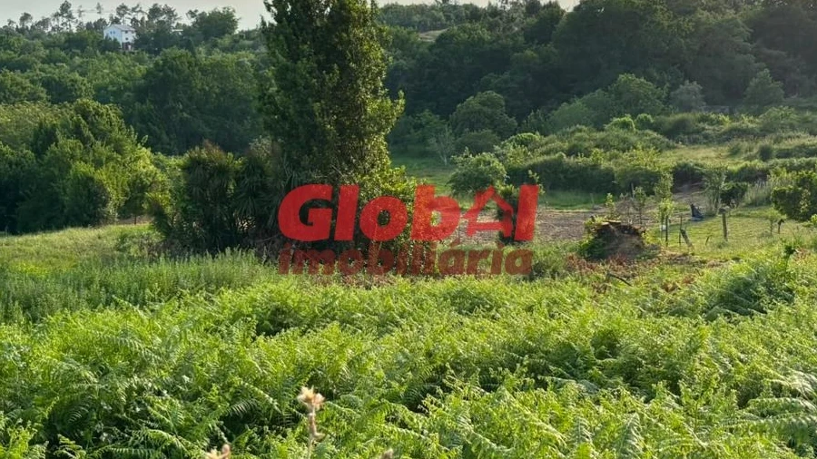 Terreno para Venda em Orgens