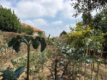 Moradia T3 para Venda em Ribeirão