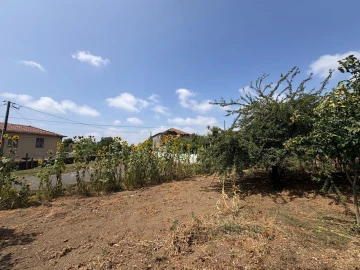 Moradia T3 para Venda em Ribeirão