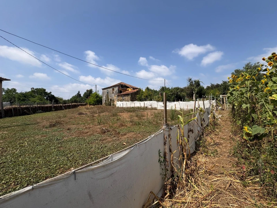 Moradia T3 para Venda em Ribeirão Foto 6