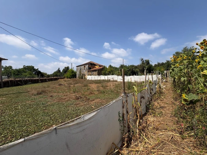 Moradia T3 para Venda em Ribeirão Foto 6