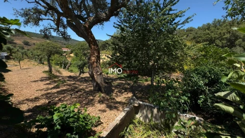 Quinta T3 para Venda em Santa Maria de Marvão