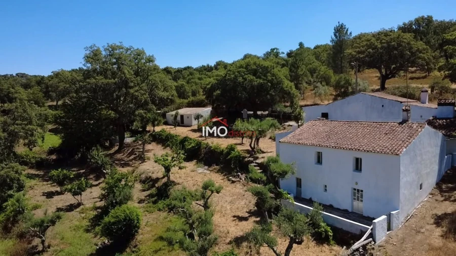 Quinta T3 para Venda em Santa Maria de Marvão Foto 19