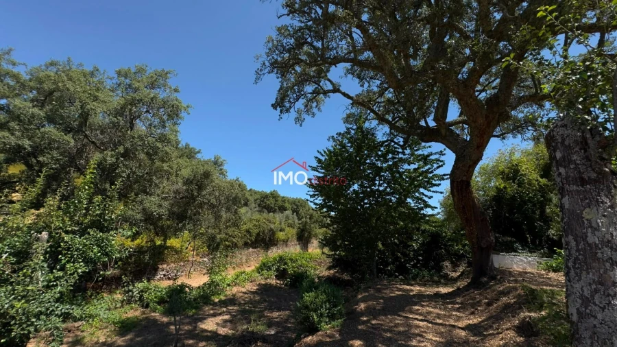 Quinta T3 para Venda em Santa Maria de Marvão Foto 21