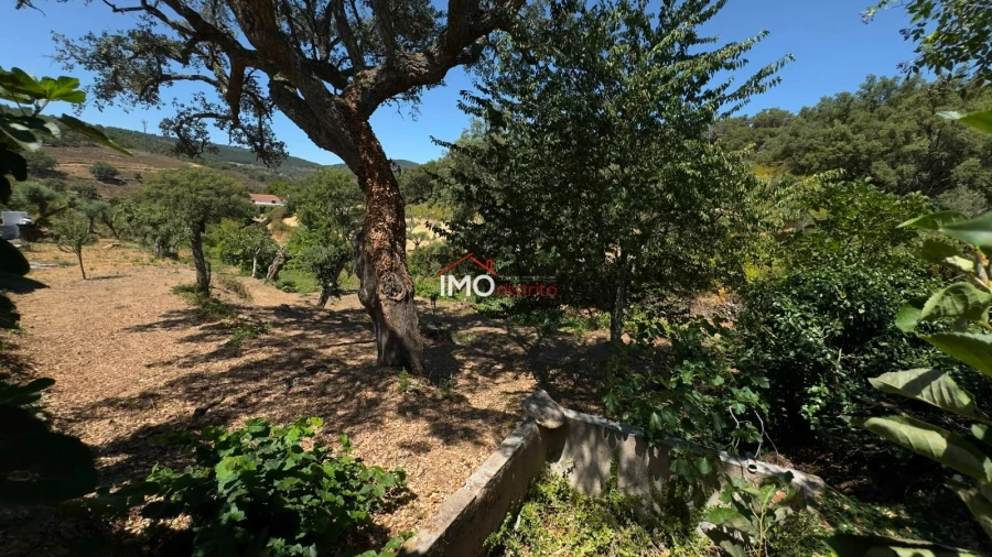 Quinta T3 para Venda em Santa Maria de Marvão Foto 22