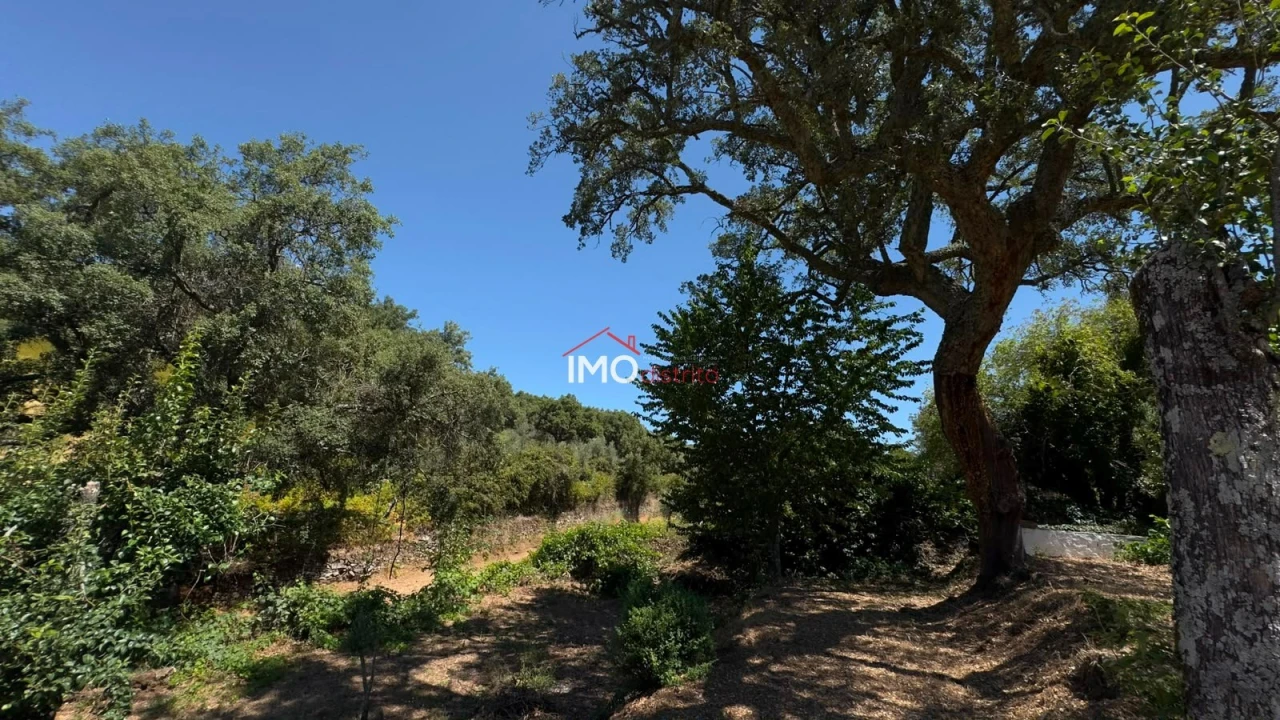 Quinta T3 para Venda em Santa Maria de Marvão Foto 21