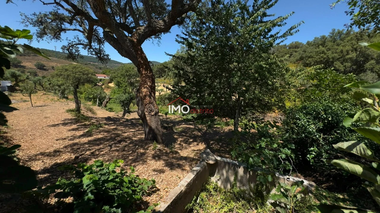 Quinta T3 para Venda em Santa Maria de Marvão Foto 22