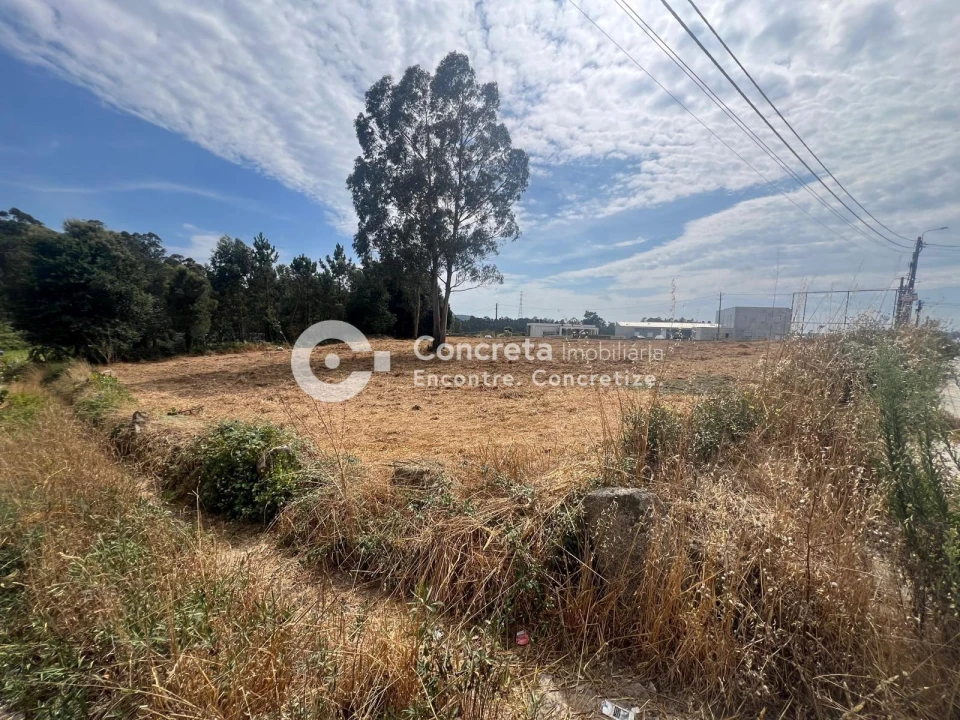 Terreno para Venda em Negreiros e Chavão Foto 4