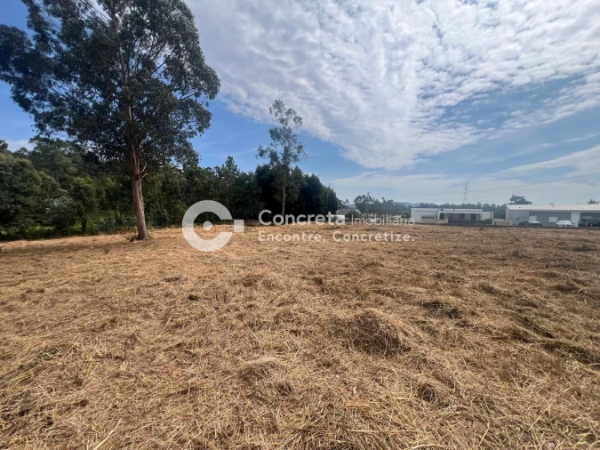 Terreno para Venda em Negreiros e Chavão Foto 2