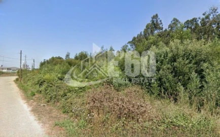 Terreno para Venda em Mozelos