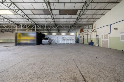 Terreno Comércio / Armazém para Venda em Alcobaça e Vestiaria