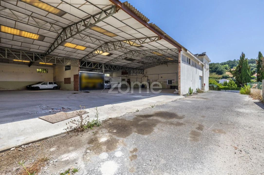 Terreno Comércio / Armazém para Venda em Alcobaça e Vestiaria Foto 3