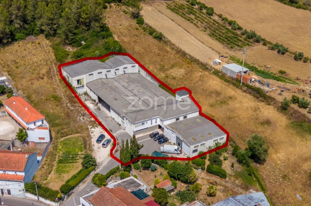 Terreno Comércio / Armazém para Venda em Alcobaça e Vestiaria Foto 28