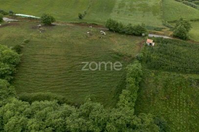 Terreno para Venda em Fenais da Ajuda