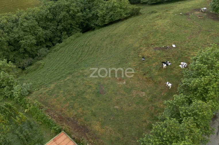Terreno para Venda em Fenais da Ajuda Foto 7