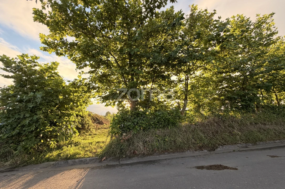 Terreno para Venda em Fenais da Ajuda Foto 3