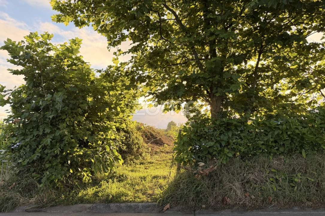 Terreno para Venda em Fenais da Ajuda Foto 2