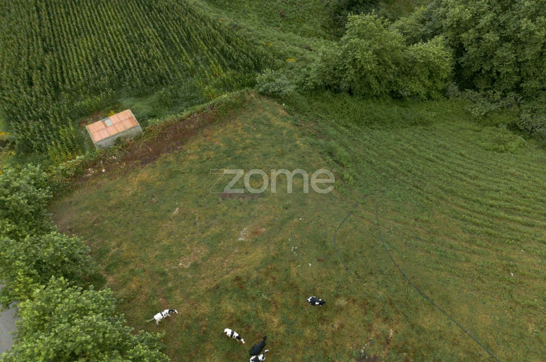 Terreno para Venda em Fenais da Ajuda Foto 8