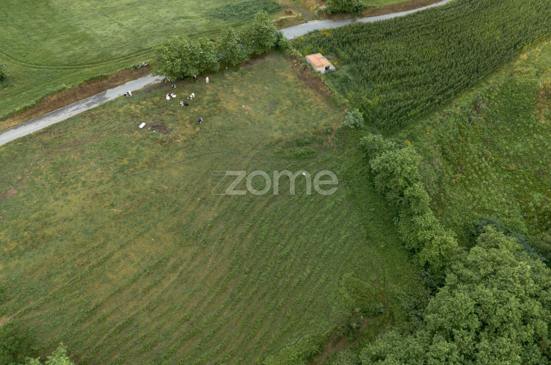 Terreno para Venda em Fenais da Ajuda Foto 10