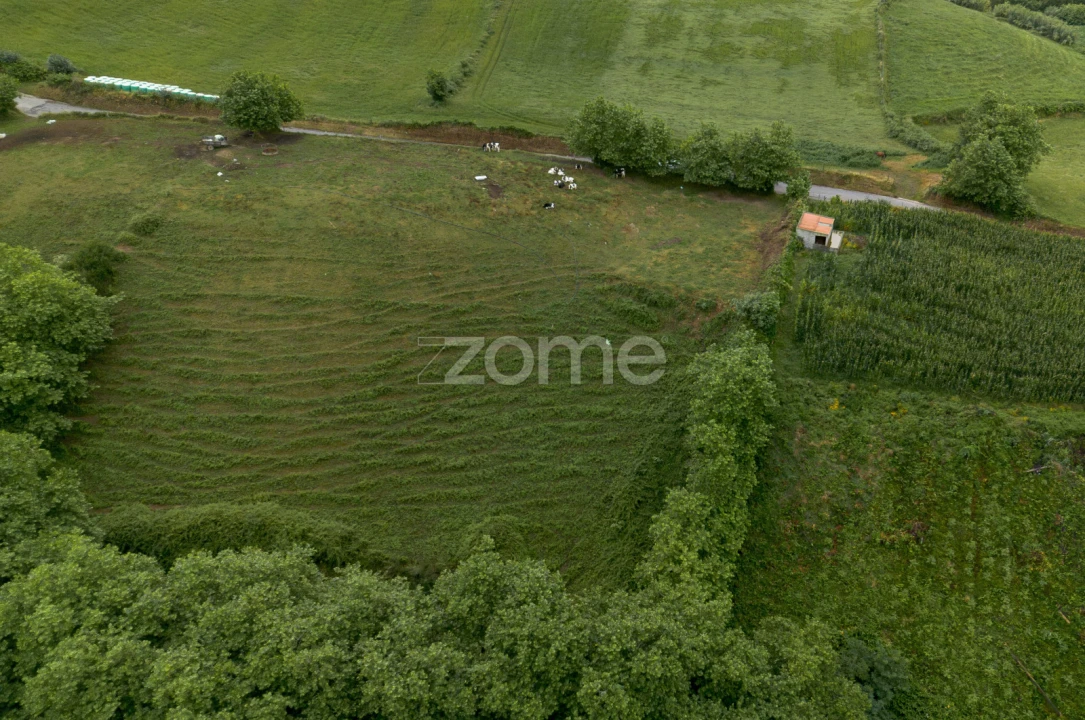 Terreno para Venda em Fenais da Ajuda Foto 11