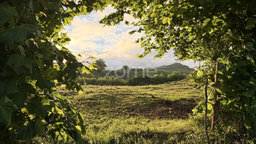 Terreno para Venda em Fenais da Ajuda