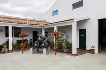 Terreno Comércio / Armazém para Venda em Alpiarça