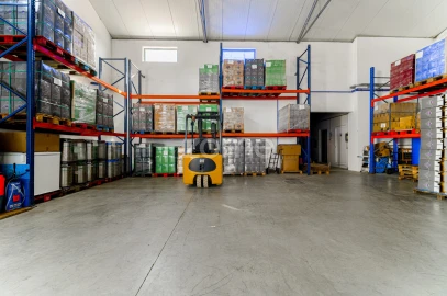 Terreno Comércio / Armazém para Venda em Alpiarça