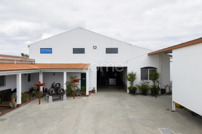 Terreno Comércio / Armazém para Venda em Alpiarça