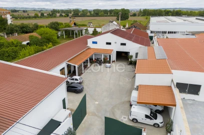Terreno Comércio / Armazém para Venda em Alpiarça