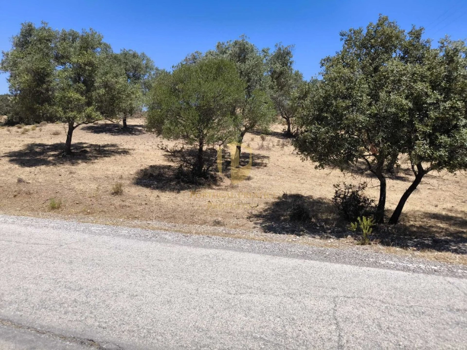 Negócio para Venda em Castro Marim Foto 1