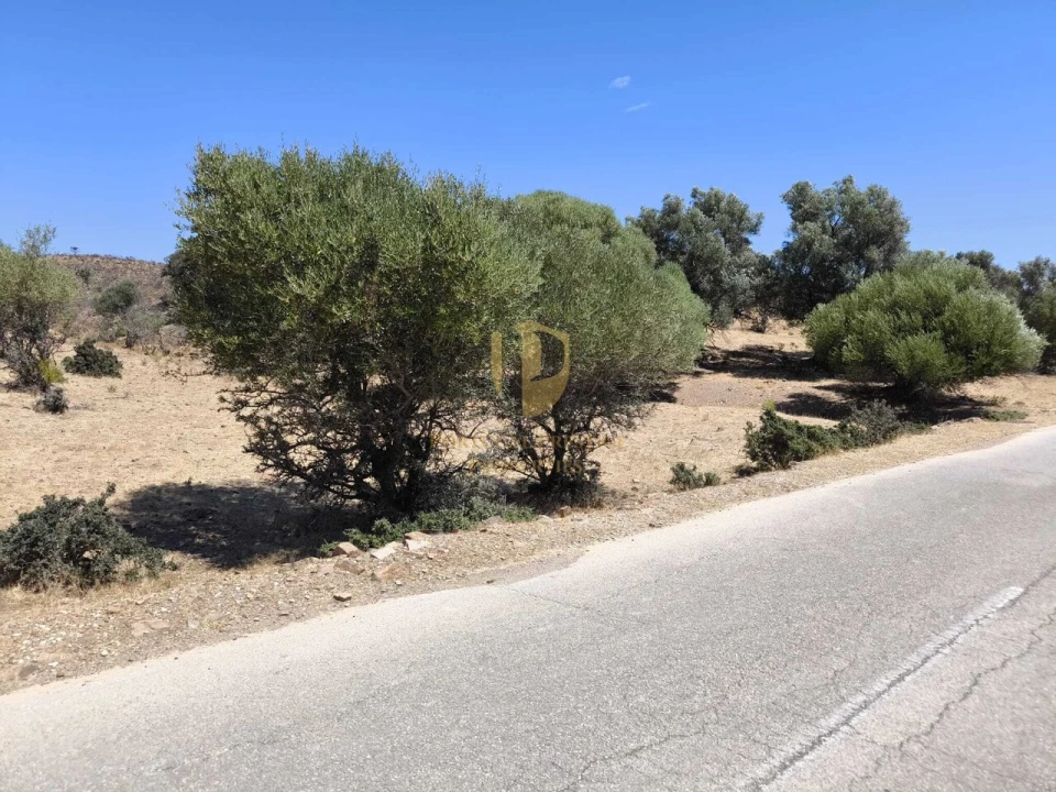 Negócio para Venda em Castro Marim Foto 3