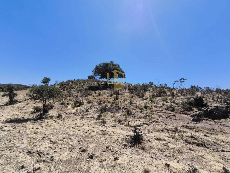Negócio para Venda em Castro Marim Foto 6