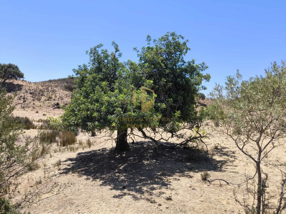 Negócio para Venda em Castro Marim Foto 10