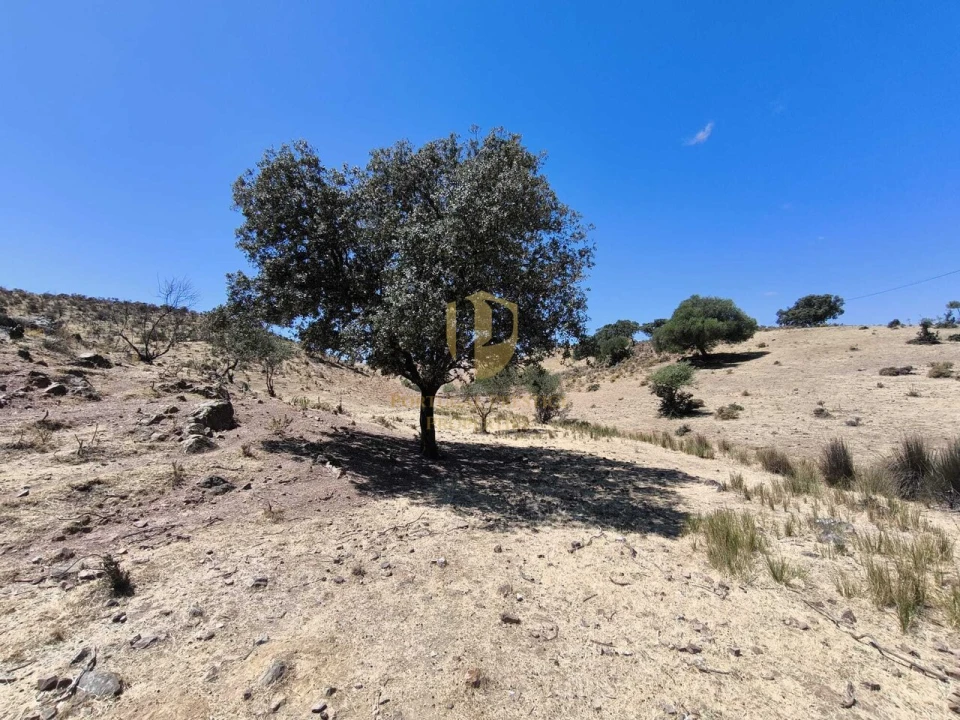 Negócio para Venda em Castro Marim Foto 12