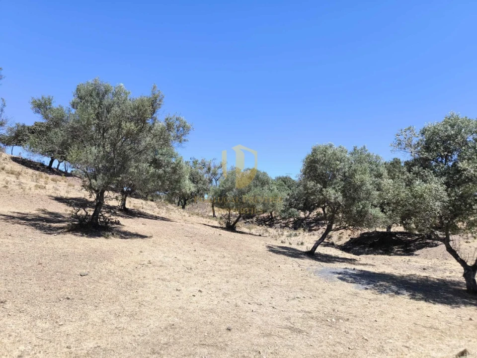 Negócio para Venda em Castro Marim Foto 14