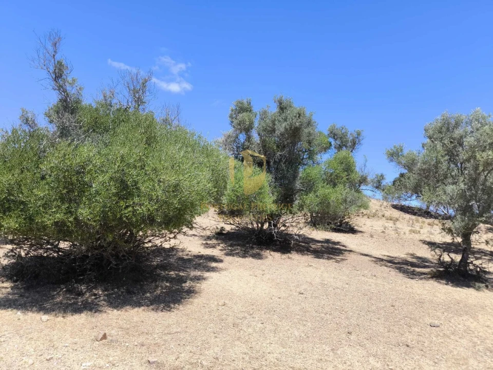 Negócio para Venda em Castro Marim Foto 16